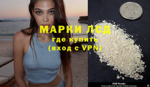 хмурый Верея